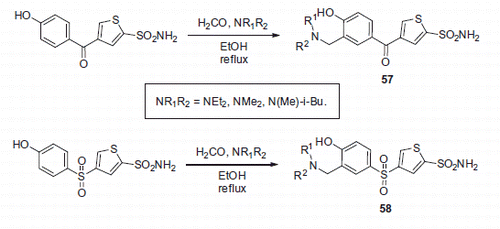 Scheme 21. Aminomethylation of furan and thiophene sulfonamide derivatives (no yields reported).