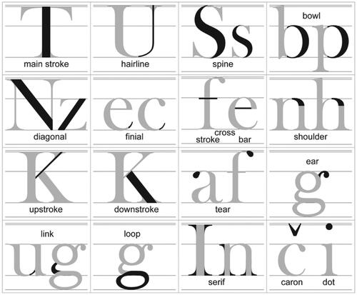 Figure 3. Parts of letters.