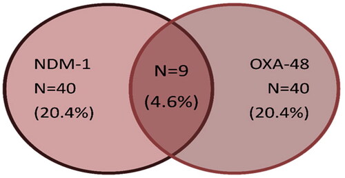 Figure 4. Occurrence of carbapenemases genes among MDR Enterobacteriaceae.