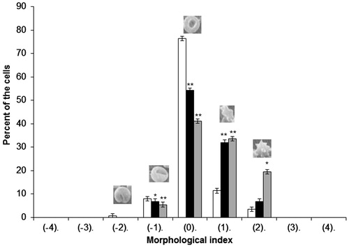 Figure 1. Percentages of different shapes of erythrocytes induced by CGA at 0.05 mg/ml (grey bar) and 0.01 mg/ml (black bar) concentration, control (white bar). Results are expressed as average ± SD (n = 5). Various erythrocyte shapes are given morphological indices as follows: Spherostomatocytes (−4), stomatocytes II (−3), stomatocytes I (−2), discostomatocytes (−1), discocytes (0), discoechinocytes (1), echinocytes (2), spheroechinocytes (3), spherocytes (4). Statistical analysis was conducted using the Dunnett test. Statistically significant results are denoted by **α = 0.01, *α = 0.05.