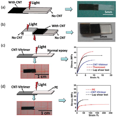 Figure 5. An illustration of the photo welding approach by Yang et al. Adopted from Ref. Citation94, with permission from The Royal Society of Chemistry. (a) Joining non-CNT vitrimer with CNT-vitrimer. (b) Joining two pieces of non-CNT vitrimer using CNT vitrimer as an adhesive. (c) Joining normal epoxy with CNT-vitrimer. (d) Joining thermoplastic PE with CNT-vitrimer.