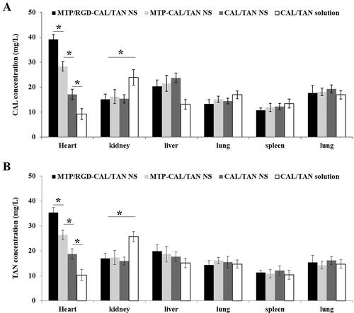 Figure 7. Tissue distribution of CAL (A) and TAN (B) after i.v. administration (* means P < .05).