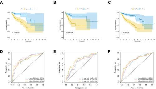 Figure 4 (A) Kaplan-Meier curve analysis of high-risk and low-risk patients in the training cohort. (B) Kaplan-Meier curve analysis of high-risk and low-risk patients in the testing cohort. (C) Kaplan-Meier curve analysis of high-risk and low-risk patients in the entire TCGA cohort. (D) Time dependent ROC curve analysis of the training cohort. (E) Time dependent ROC curve analysis of the testing cohort. (F) Time-dependent ROC curve analysis of the entire TCGA cohort.