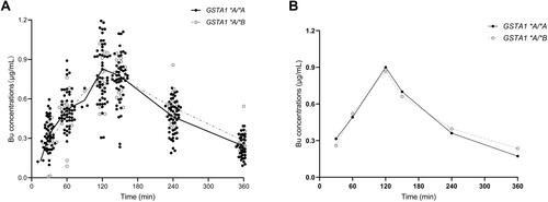 Figure 1 Observed busulfan concentrations plotted vs time. The filled dark dots represent the observed concentrations of patients with GSTA1 *A/*A. Gray circles represent the observed concentrations of patients with GSTA1 *A/*B. The solid black lines and gray dashed lines represent the mean (A) and “typical subjects” (B) of the observed concentrations of patients with GSTA1 *A/*A and GSTA1 *A/*B, respectively. “Typical subjects” of two genotypes were chosen based on the PPK model profile.