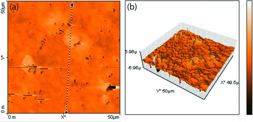 FIG. 5 AFM characterization of copper–silver bimetallic coating deposited on a glass substrate from precursors with 42.1 wt.% Ag, 57.9 wt.% Cu; (a) two-dimensional AFM micrograph showing roughness measurement locally; (b) three-dimensional AFM micrograph showing the nonuniform and rough nature of the nanostructured film. (Color figure available online.)