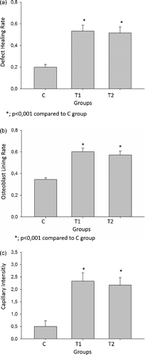 Figure 3. (a) Effect of TQ on defect healing. Statistically significant values are indicated with a (*) (p < 0.01 vs. control and TQ groups) and (**) (p < 0.05 vs. control & TQ groups). (b) Effect of TQ on osteoblastic lining. Statistically significant values are indicated with a (*) (p < 0.01 vs. control & TQ groups) and (**) (p < 0.05 vs. control and TQ groups). (c) Effect of TQ on capillary intensity. Statistically significant values are indicated with a (*) (p < 0.01 vs. control &TQ groups) and (**) (p < 0.05 vs. control & TQ groups)