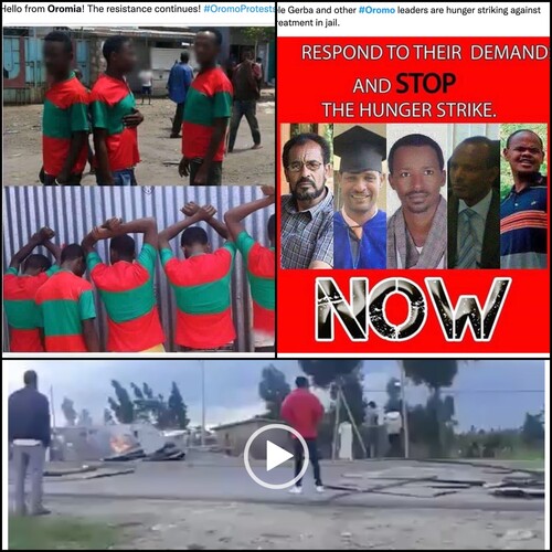 Figure 2. Social media ecologies of #Oromo uprising and Qeerroo/Qarree resistance movements, 2016–2018. (Posts on Facebook and Twitter. Collage by author).