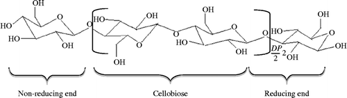 Figure 2 Chemical structure of cellulose.