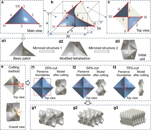 Figure 1. Construction method of the lattice structure. (a–c) Different views of the curved surface used to refill the tetrahedral wireframe, where I-IV represented the endpoints and 1-4 represented the edges of the tetrahedron. (d) Design method of the initial unit. (e) Schematic diagram of the cutting method. (f) Unit models for variable cutting proportions. (g) Single-layered structures that were obtained by arraying the units.