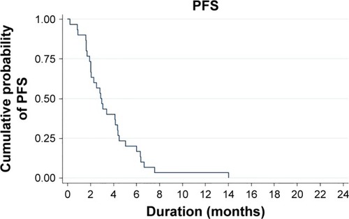 Figure 1 Kaplan–Meier estimates of PFS.