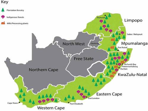 Figure 2. Map of south africa depicting tree plantations, indigenous forests, and timber processing mills (Forestry South Africa: FSA Citation2021)