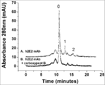 Figure 4. High performance strong cation exchange chromatography of the h2E2 antibody before and after treatment with carboxypeptidase B. 100 μg of h2E2 antibody was injected, and eluted with a gradient of NaCl in MES buffer. Note the disappearance of peaks 1 and 2 after removal of the C-terminal lysine residues. These peaks represent h2E2 antibody molecules containing 1 or 2 lysine residues on the C-termini of the 2 heavy chains in the antibody (which, after removal of lysine by carboxypeptidase elute with the main peak labeled ‘0” eluting at approximately 11 minutes).
