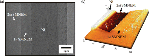 Figure 4. (a) SEM image and (b) 3D AFM image of a thickness controlled Ni step.