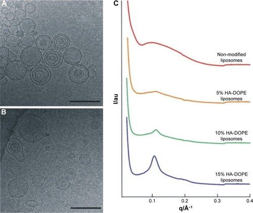 Figure 10 Cryo-TEM images of HA-liposomes (A) and HA-liposomes containing siRNA (B) developed by Nascimento et alCitation18 (scale bars: 200 nm). (C) SAXS curves of liposomes and HA-liposomes with different percentages of HA. Adapted with permission, from: Nascimento TL, Hillaireau H, Noiray M, et al. Supramolecular organization and siRNA binding of hyaluronic acid-coated lipoplexes for targeted delivery to the CD44 receptor. Langmuir 31(41), 2015, 11186–11194. Copyright 2017 American Chemical Society.Citation18Abbreviation: HA-DOPE, hyaluronic acid inserted in dioleylphosphatidylethanolamine.