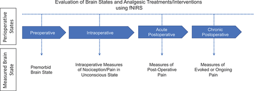 Figure 2. fNIRS-based brain measures of acute and/or ongoing pain measured during the various perioperative states. The measured brain states at each perioperative stage can be both intrinsic and extrinsic. Intrinsic brain state often refers to the brain in the absence of external stimuli, such as during persistent ongoing pain. In contrast, extrinsic brain state refers to the brain during an acute stimulus, intervention, or treatment.