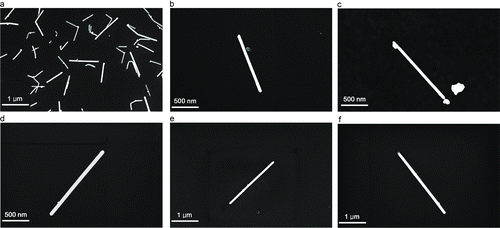 FIG. 3 SEM images: (a) polydisperse (unclassified) silver nanowires, (b) monodisperse silver nanowire (dm = 200 nm), (c) monodisperse silver nanowire (dm = 250 nm), (d) monodisperse silver nanowire (dm = 300 nm), (e) monodisperse silver nanowire (dm = 350 nm), and (f) monodisperse silver nanowire (dm = 400 nm).