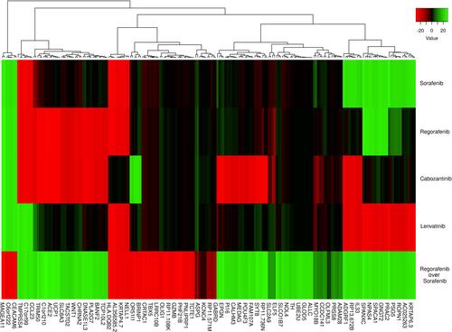 Figure 2 Gene differential expression values compared to treatment groups. This heatmap shows the differential expression values for each drug. The scale is measured in expression fold changes (FC) in relation to the standardized expression profiles of the original cell lines after being analyzed with the DESeq2 algorithm. The dark colors represent FC values between 0 and ± 10, and the lighter colors present FC values over ± 10. At the left, the blue rectangle includes two clusters tinted in light green and red in all the treatment groups, suggesting two identifiable gene expression signatures: the left one, with overexpression in four groups (sorafenib [S], regorafenib [R], cabozantinib [C] and lenvatinib [L]) and underexpression in those that responded differentially better to regorafenib than sorafenib (RoS), and the right one, with genes highly underexpressed in the first three groups ((S), (R), and (C) and overexpressed in the last two (L and RoS).