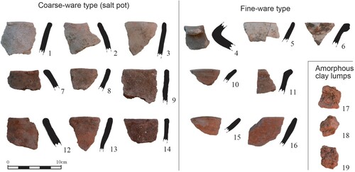 Figure 3. Investigated samples from Nueva Esperanza.
