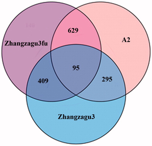 Figure 3. Venn diagram of differentially expressed proteins in Zhangzagu3 and its parents.