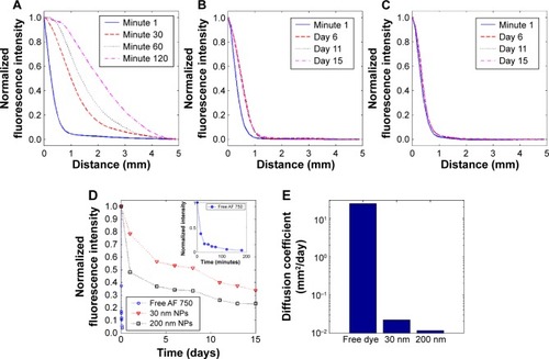 Figure 4 Diffusion (fluorescence) as a function of distance from the phantom center, averaged over all phantoms imaged (N=3) and normalized to the intensity at x=0 for each time point.Notes: Data for (A) free AF 750 dye, (B) 30 nm nanoparticles, and (C) 200 nm nanoparticles are shown. (D) Average maximum fluorescence intensity normalized to initial time point per phantom type showing the continual decrease in maximum fluorescence over time. Inset time scale of free AF 750 dye diffusion is on the order of minutes compared to days in part (D). (E) Diffusion coefficients found by fitting the diffusion profile curves to I(x,t)=Ao4πDte(−x24Dt) on a logarithmic scale.Abbreviations: AF, Alexa Fluor; NPs, nanoparticles.