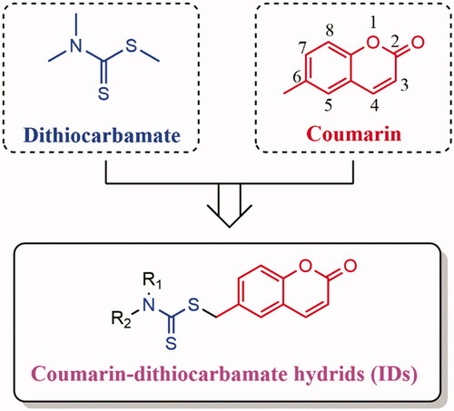 Figure 2. Design strategy of the novel coumarin-dithiocarbamate derivatives (IDs).