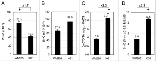 Figure 2. Comparative analysis of total 5-methylcytosine (5mC) content in cell lines by flow cytometry. WM266–4 melanoma and KG1 leukemia cells were labeled with anti-5mC monoclonal antibody prior to DNA staining with propidium iodide (PI). (A). DNA contents in G0/G1 cells were expressed as PI mfis. (B). 5mC contents in G0/G1 cells were expressed as in Figure 1F (C). 5mC/DNA indexes were calculated as ratios of 5mC mfis vs. PI mfis. (D). Percentages of 5mC among total cytosines were measured by LC-ESI MS/MS.