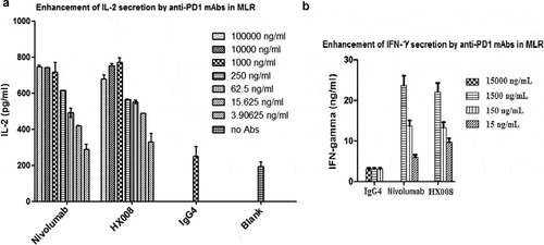 Figure 2. Concentration-dependent stimulation of IL-2 and IFNγ secretion induced by HX008 in mixed lymphocyte reaction (MLR) assays, using nivolumab and human IgG4 as positive and negative controls, respectively. T cells and DCs from different donors were co-cultured in the presence of a titration of anti-PD-1 mAbs or isotype control antibodies, then the level of IL-2 and IFNγ in supernatant was determined after 5 days. (a) enhancement of IL-2 secretion by anti-PD-1 mAbs. (b) enhancement of IFNγ secretion by anti-PD-1 mAbs. Representative data from multiple DC/T cell pairs of different donors were shown
