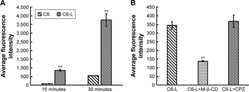 Figure 2 Fluorescence intensity analysis by flow cytometry.Notes: (A) Fluorescence in HKFs after incubation with C6 and C6-L for 15 minutes and 30 minutes. **P<0.01 vs C6. (B) Effect of endocytosis inhibitor (M-β-CD and CPZ) on cellar uptake of C6-L within 15 minutes after incubation for 1 hour. **P<0.01 vs C6-L.Abbreviations: C6, coumarin-6; C6-L, coumarin-6-loaded liposomes; CPZ, chlorpromazine; M-β-CD, methyl-β-cyclodextrin.