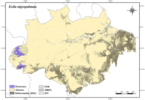 Figure 73. Occurrence area and records of Exila nigropalmata in the Brazilian Amazonia, showing the overlap with protected and deforested areas.