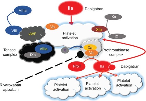 Figure 2 Amplification and propagation.