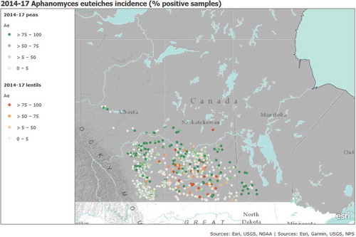 Fig. 3. (Colour online) Aphanomyces euteiches incidence and per cent positive samples (sites) based on PCR assays from diseased root tissues, within pea and lentil crops in Alberta (2014–2017), Saskatchewan (2015–2017) and Manitoba (2016–2017).