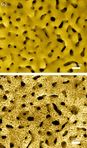 Figure 9. SEM images of the hierarchical NPG. (a) Coarsened nanoporous AuAg alloy with a pore size of 80–100 nm. (b) Hierarchical NPG particles containing small pores with diameters of 5–20 nm on the surface of ligaments with sizes of 80–100 nm. (Adapted from Ref. [Citation102]. Copyright Guo et al (Citation2016)).