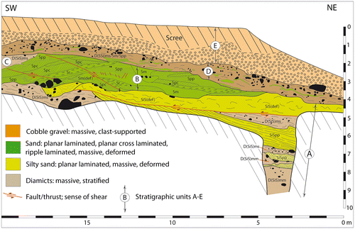 Figure 14. Sediment succession in the lee-side position (south) of a bedrock ridge at Järnavik in coastal Blekinge, an area with streamlined terrain with all drumlins being of the rock-cored type (Fig. 12). Section redrawn from part of the originally 35-m long section described in Nilsson (Citation1996); the sediments are divided into five stratigraphic units (A–E). The ground surface is ~20 m a.s.l. Facies codes are according to Table 1.