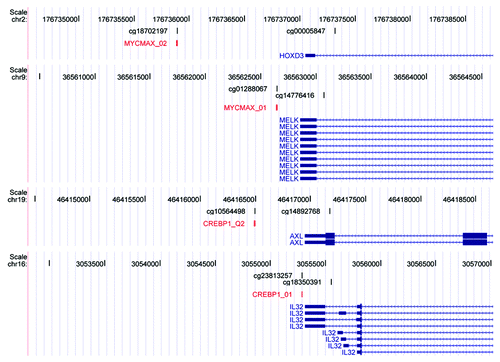 Figure 2. Transcription factor binding motifs contain CpGs that show a positive association between methylation and gene expression levels. UCSC genome browser view of MYCMAX_01/02 and CREBP1_01/Q2 transcription factor motifs. Each panel contains the following tracks from top to bottom: Coordinates of human hg18 genome. CpGs present on Illumina’s 27K platform. Transcription factor motifs, red. RefSeq genes, blue.