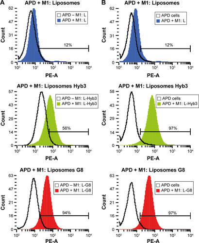 Figure S2 Off-target binding of liposomes-scFv Hyb3 on APD cells by flow cytometry.Notes: (A) This panel shows liposomes incubated with APD cells pulsed with peptide gated against APD cells without peptide incubated with liposomes at 4°C for 2 hours. Solid black line in each histogram indicates APD cells without peptide incubated with respective sample. Blue filled histogram represents APD cells pulsed with peptide incubated with nontargeted liposomes, green filled histogram represents APD cells pulsed with peptide incubated with liposomes-scFv Hyb3, red filled histogram represents APD cells pulsed with peptide incubated with liposomes-scFv G8. (B) This panel shows the same samples gated against unstained APD cells. Solid black line in each histogram indicates unstained APD cells without peptide incubation. Blue histogram represents APD cells pulsed with peptide incubated with nontargeted liposomes, green histogram represents APD cells pulsed with peptide incubated with liposomes-scFv Hyb3, red histogram represents APD cells pulsed with peptide incubated with liposomes-scFv G8.Abbreviation: scFv, single-chain variable fragment.