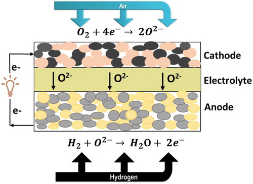 Figure 1. Schematic representation of the working principle of the SOFC