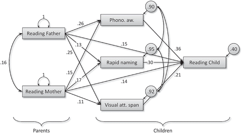 FIGURE 2 Saturated structural equation model with standardized parameter estimates. Note. All parameter estimates are significant (ps < .03) except for VAS on mother’s reading. Correlations between unexplained variances in cognitive skills are omitted from the figure; values are PA-RAN .34, PA-VAS .37, RAN-VAS .26. Reading = word-level reading fluency; PA = phonological awareness; RAN = rapid naming; VAS = visual attention span.