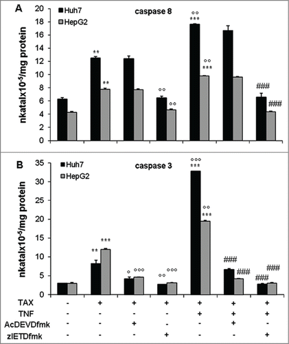 Figure 5. Effect of selective inhibitors on caspase 8 and 3 activities in HCC cells exposed to TAX or TAX+TNF for 24 hours. Caspase 8 (A) and 3 (B) activities in cells pretreated with AcDEVDcmk (20 μM) or zIETDfmk (20 μM) for 1 hour, then exposed to 0.1 μM TAX or TAX plus 15 ng/ml TNF for 24 hours. Data (means±SD ) are expressed as nkatal×10–5/mg protein. Significance of the differences vs controls: **P < 0.01 and ***P < 0.001; vs TAX: °P < 0.05, °°P < 0.01 and °°°P < 0.001; vs TAX+TNF: ###P < 0.001.