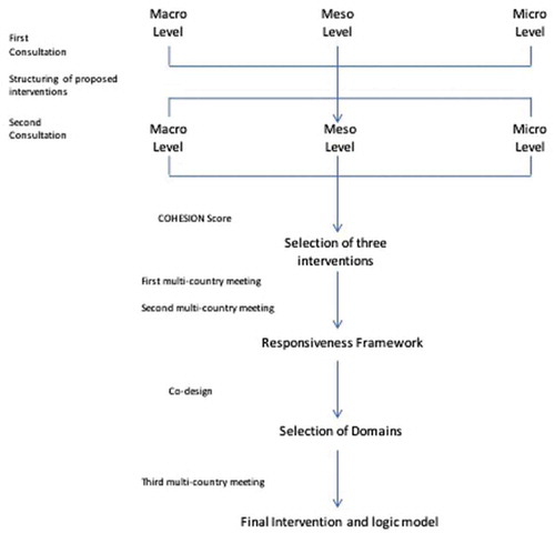 Figure 1. Overall Co-creation process in Peru