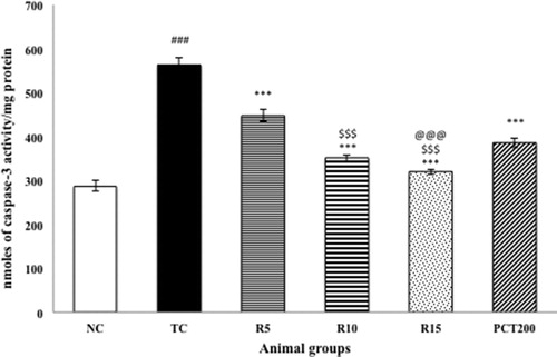 Figure 6. Effect of rosuvastatin and piracetam on caspase-3 activity. Data are presented as mean ± SEM for six rats in each group. ###p < .001 vs. TC group. ***p < .001, **p < .01, *p < .05 vs. TC group. $$$p < .001, $$p < .01, $p < .05 vs. RSV5 group. @@p < .01 vs. PCT200 group.