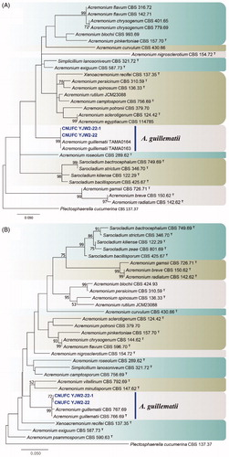 Figure 1. Phylogenetic tree of Acremonium guillematii CNUFC YJW2-22 and CNUFC YJW2-22-1, and related species, based on a maximum likelihood analyses of internal transcribed spacer (A) and large subunit (B) sequences. The sequence of Plectosphaerella cucumerina was used as an outgroup. Bootstrap support values of ≥50% are indicated at the nodes. Ex-type strains are indicated by T.