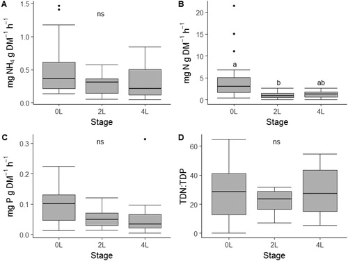 Figure 3. Mass-specific nutrient excretion rates (A–C) and stoichiometric ratios (D–F) across three developmental stage categories of free-ranging larval southern leopard frogs (Lithobates sphenocephalus) from geographically isolated wetlands in southwestern, Georgia, USA, from February to July 2016. Different letters indicate pair-wise differences in stages as indicated by Wilcoxon rank sum tests and the absence of letters indicates no significant differences among stages.