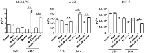 Figure 2. Variation in serum neutrophil-recruiting cytokine levels in mice. Hyperthermia increased serum neutrophil-recruiting cytokine levels, except for those of TGF-β. Results are presented as means ± standard error (n = 5 in each group). *p < .05, **p < .01, ***p < .001