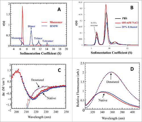 Figure 2. Biophysical characterizations for the cHA column purified monomer and cHA column enriched HMW fraction. (A) Overlay of analytical ultracentrifugation sedimentation velocity (AUC-SV) profiles for the purified monomer (red) and the enriched HMW species (blue). The total protein concentrations were 0.4–0.5 mg/mL. (B) Overlay of AUC-SV profiles for the enriched HMW species in PBS (black), 600 mM NaCl (red), and in the presence of 20% ethanol (blue). The samples were obtained by ∼5-fold dilution of the HMW sample in (A) with appropriate reagents. The profiles are not normalized with respect to sample concentrations. The sedimentation coefficients in (A) and (B) were corrected for the standard state of water at 20°C. The instrumentation and experimental procedures for AUC-SV were as described previously.Citation9 (C) Overlay of far-UV CD spectra for the monomer (red) and enriched HMW species (blue) in formulation buffer (dots) and with 6 M GdmCl (dashed lines). The instrumentation and experimental procedures for far-UV CD were as described previously.Citation9 (D) Overlay of intrinsic fluorescence emission spectra of the monomer (red) and enriched HMW species (blue) in formulation buffer (solid lines) and with 6 M GdmCl (dashed lines). Each curve in (C) and (D) represents triplicate measurements averaged at each data point.