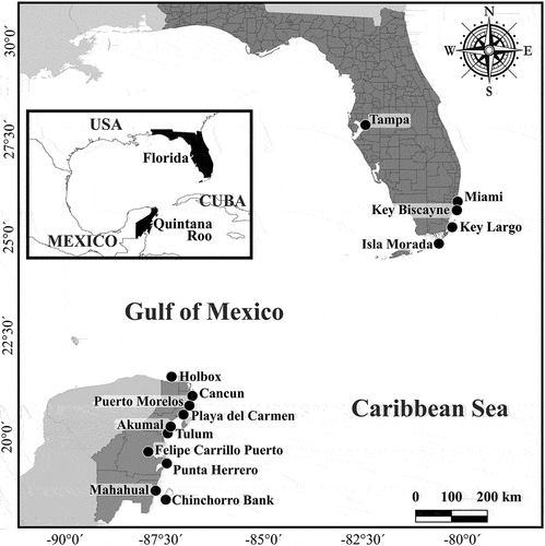 Figure 1. Study site map with location of local communities in Quintana Roo, Mexico and Florida, US that participated in this study via online, on-site workshops or one-on-one interviews.