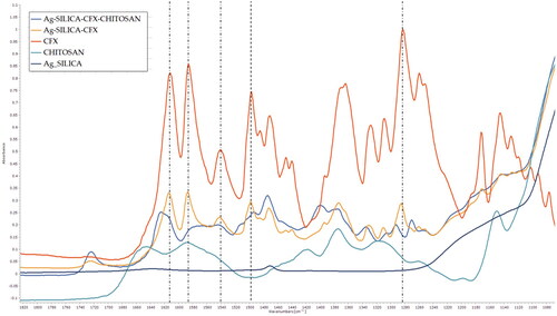 Figure 3. FTIR spectra of prepared solid dispersions prepared using two and 3-fluid nozzle spray drying along with corresponding spectra for ciprofloxacin (CFX) and chitosan. The dotted lines show peak positions in CFX where a shift was seen compared to S-AgNPs-CSCFX microparticles signifying structural changes.