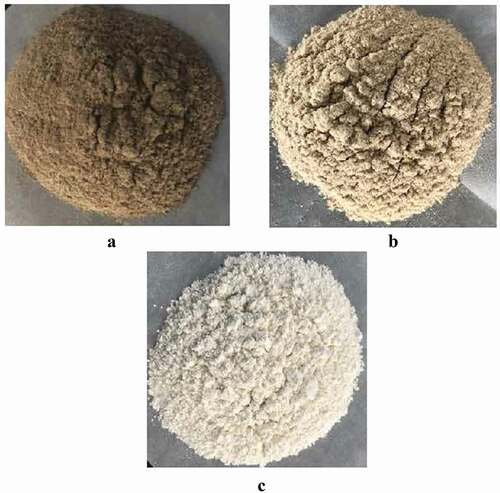 Figure 1. The color of sunflower seed protein. (A)sunflower seed protein, (B) macroporous resin adsorption decolorization of sunflower seed protein, (C) limited enzyme hydrolysis combined with macroporous resin decolorize sunflower seed protein