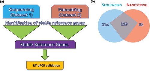 Figure 2. Workflow for the reference gene identification method. Reference genes were identified using small RNA sequencing and a chip-based method. Each data set was unique and included different donors and diverse conditions. Identification of reference genes from each data set was conducted in parallel using the four major algorithms for reference gene identification (NormFinder, GeNorm, BestKeeper and Delta Ct). (a) Common microRNAs (miRs) were selected from each set for further validation using reverse transcription–quantitative polymerase chain reaction (RT-qPCR) in a third unique sample set. (b) Venn diagram showing miRs identified by sequencing compared to those identified by NanoString. Data are representative of the two donors in common between data sets 1 and 2.