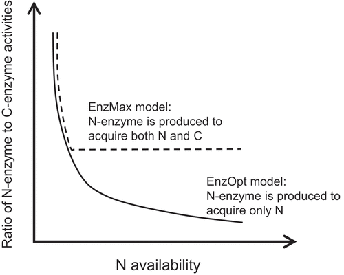 Figure 5. Conceptual diagram showing the relationship between ecoenzymatic stoichiometry and nutrient availability, on the basis of the simulation result of Averill and Classen (Citation2014). The case of an N-acquiring enzyme is illustrated. EnzOpt model: the enzyme synthesis is optimized to match the microbial N demand. EnzMax model: C acquisition is prioritized from substrates when N availability is high.