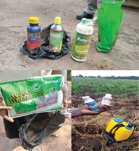 Figure 3. Some agrochemicals found at the farmers’ premises in the Budongo forest landscape (from top- rocket, super green and butanil, weed master, Dudu).